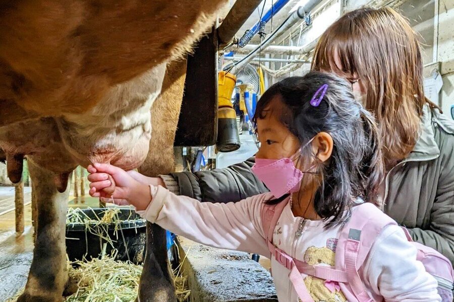 たまちっぷす | vol.17 牛とのふれあいも最先端プラネタリウムもどっちも楽しめる！見どころ満載の八王子！