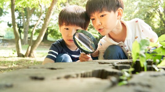 たまちっぷす | カブトムシ・クワガタ大作戦！ 夏のむし探しアドベンチャーへ出発だ！