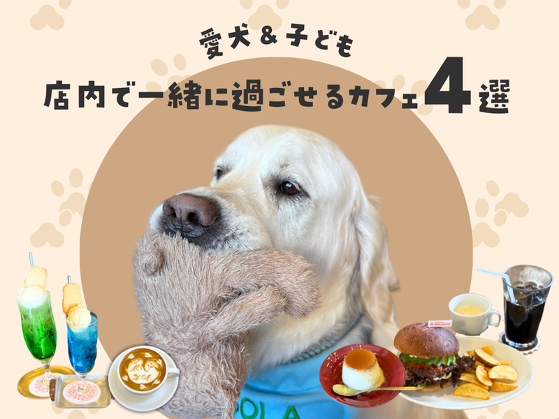 たまちっぷす | 多摩の検索ちゃんおススメ！子どももワンちゃんも店内OK！わざわざ行きたい多摩エリアのカフェ4選