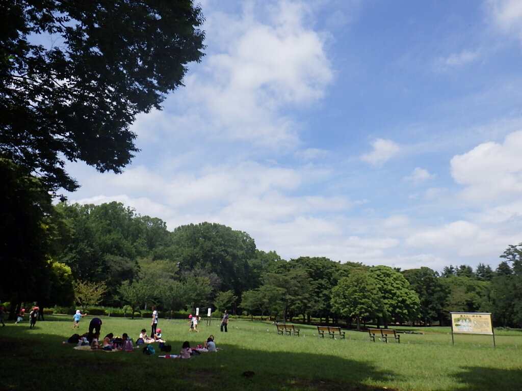 【小金井公園】提供写真.JPG