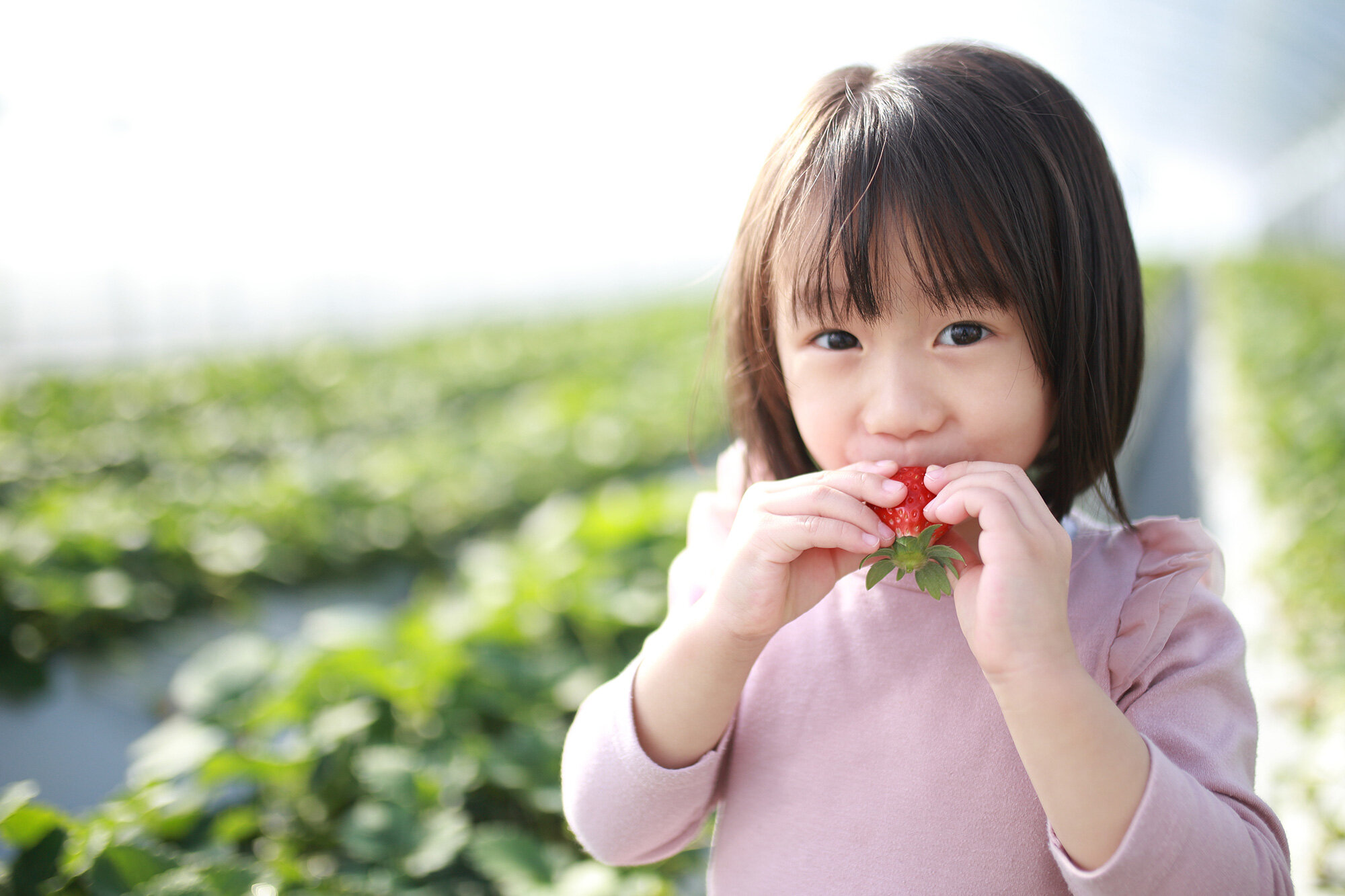 strawberrspot-1.jpg