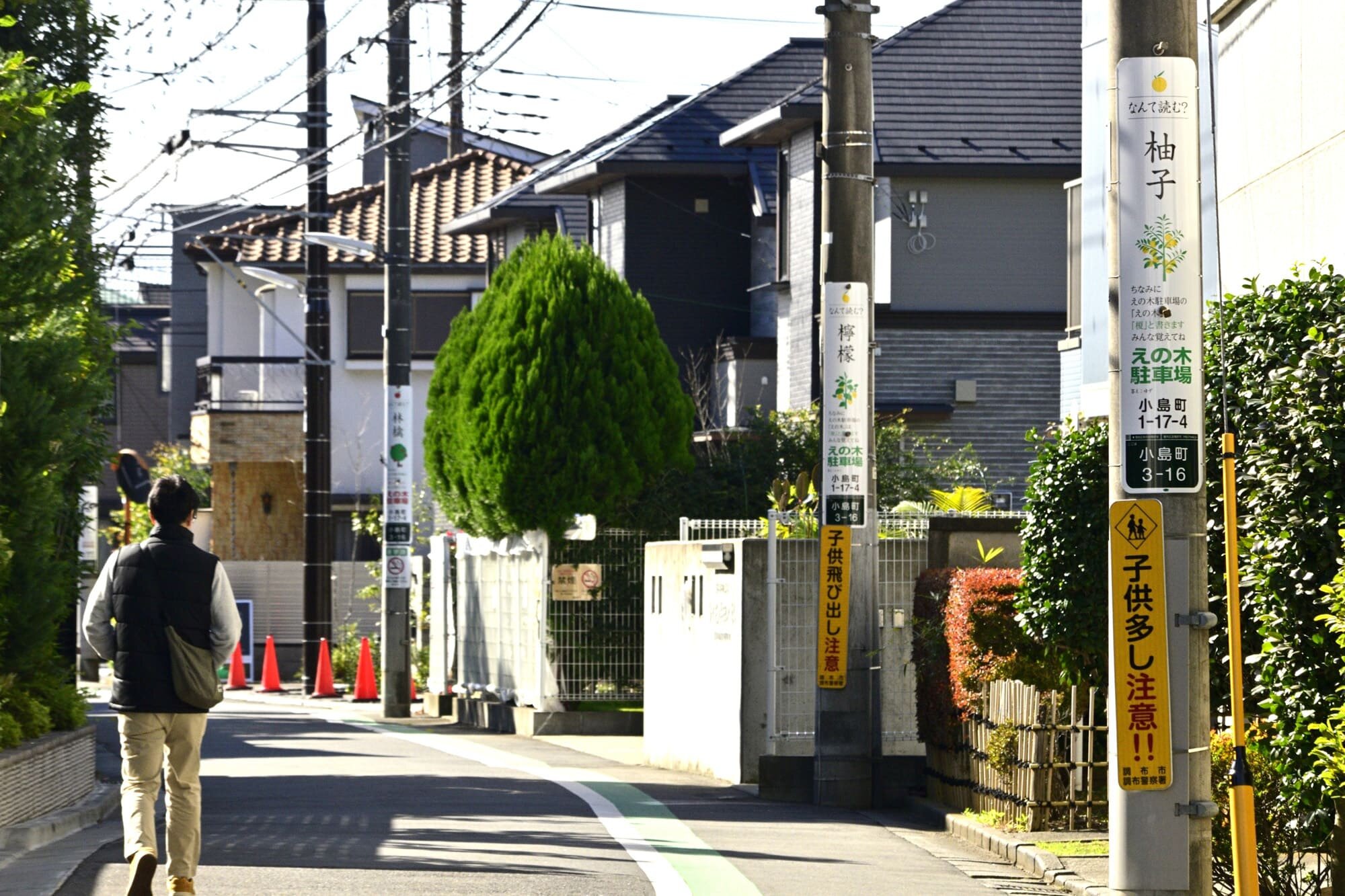 tama-denchukoukoku-1.jpg