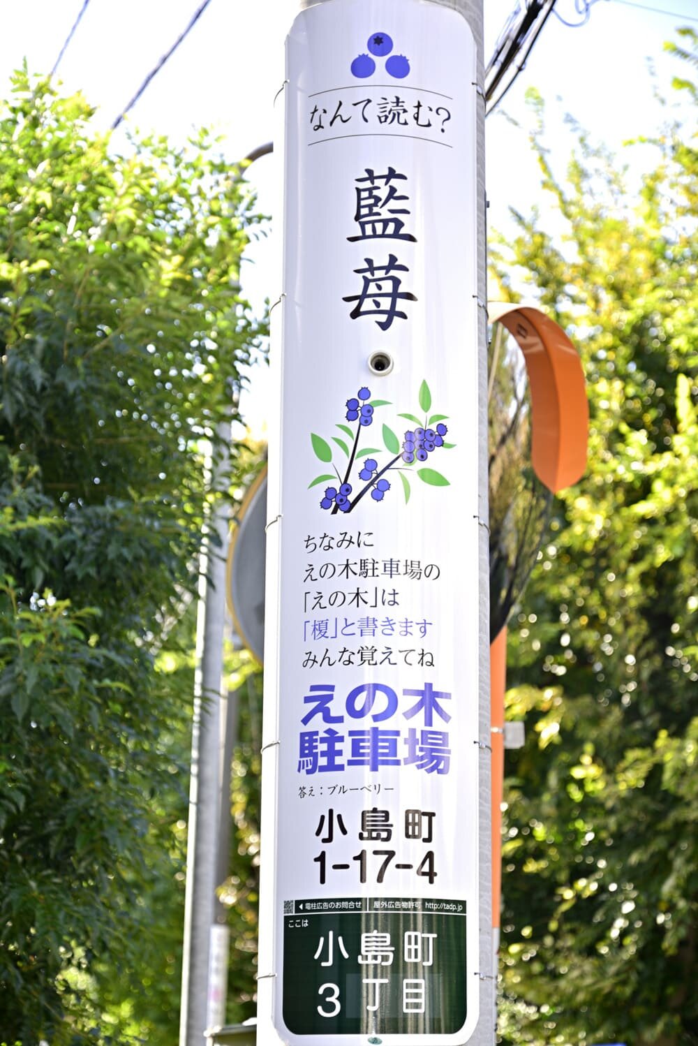 tama-denchukoukoku-17.jpg