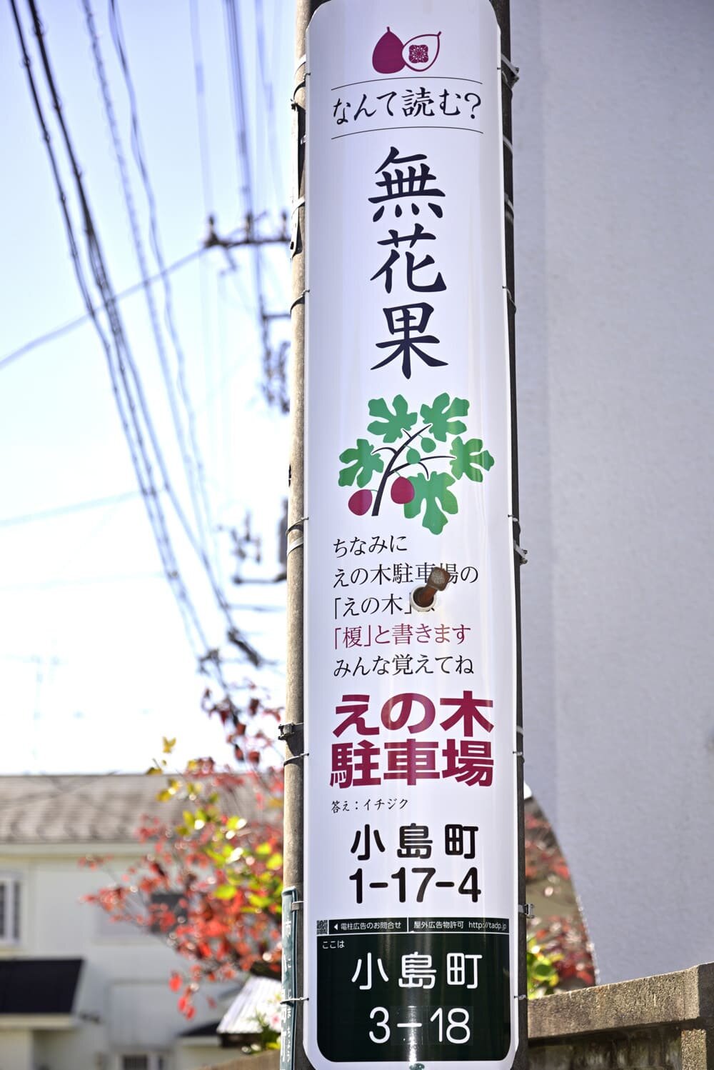 tama-denchukoukoku-18.jpg
