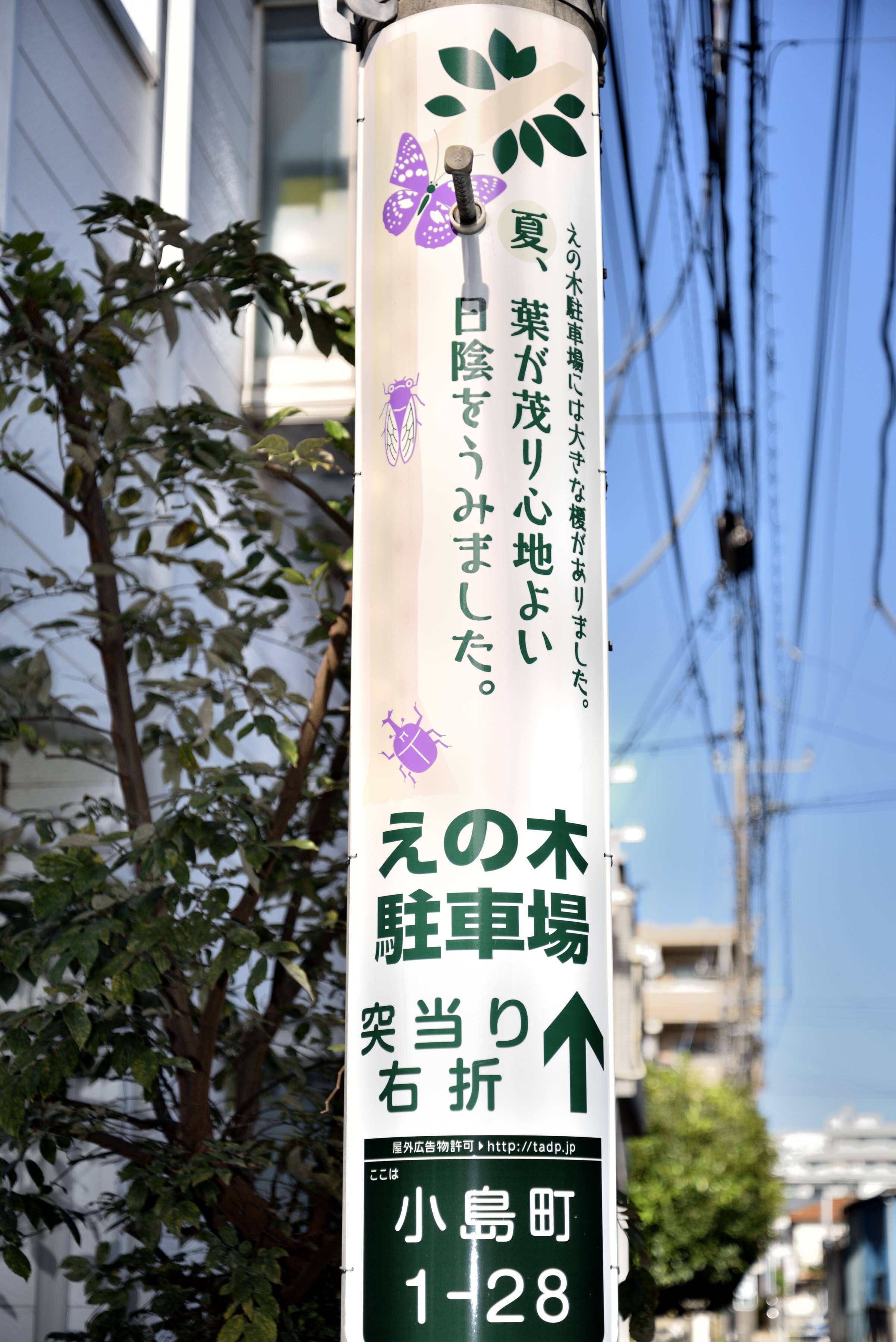 tama-denchukoukoku-22.jpg