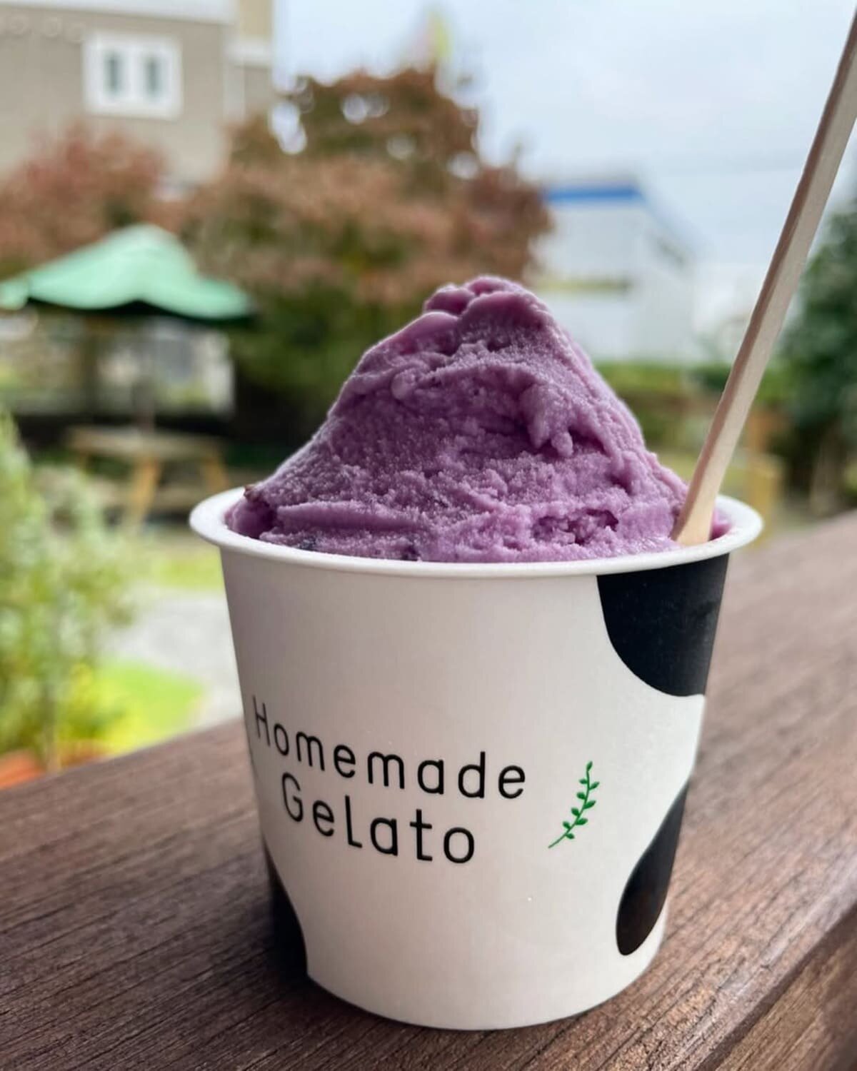 tama-gelato-12.jpg