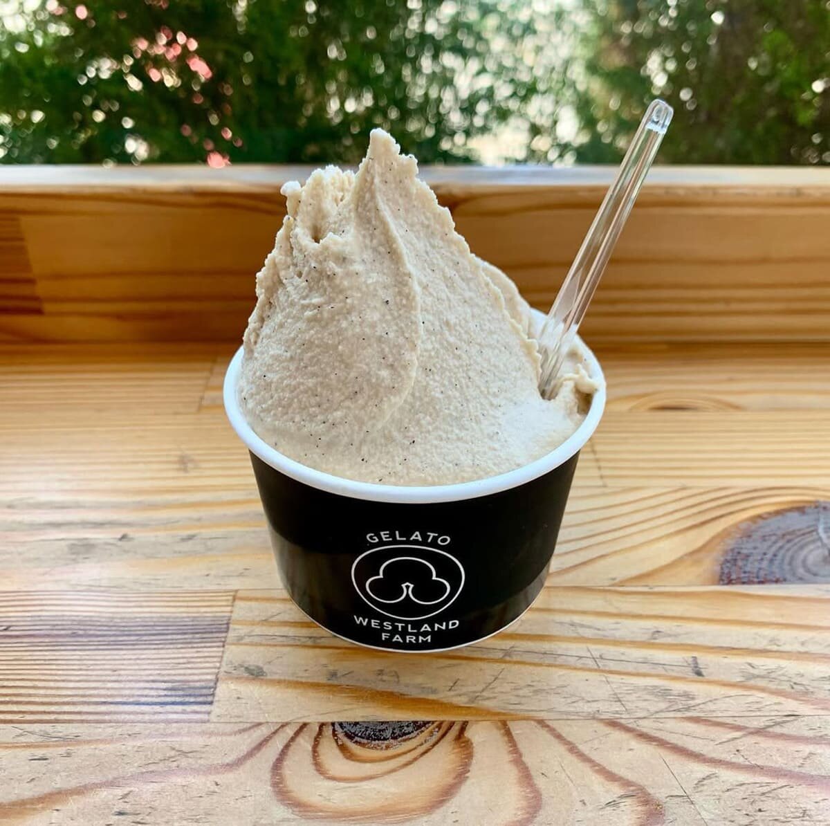 tama-gelato-8.jpg