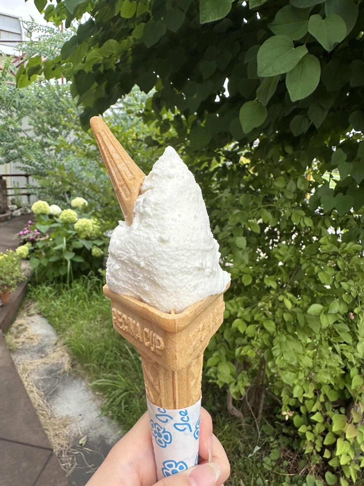 tama-gelato-9.jpg