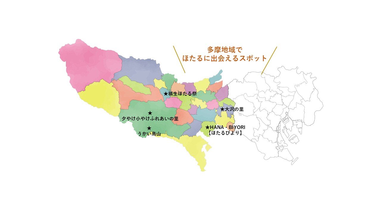 tama-hotaru-spot-0.jpg