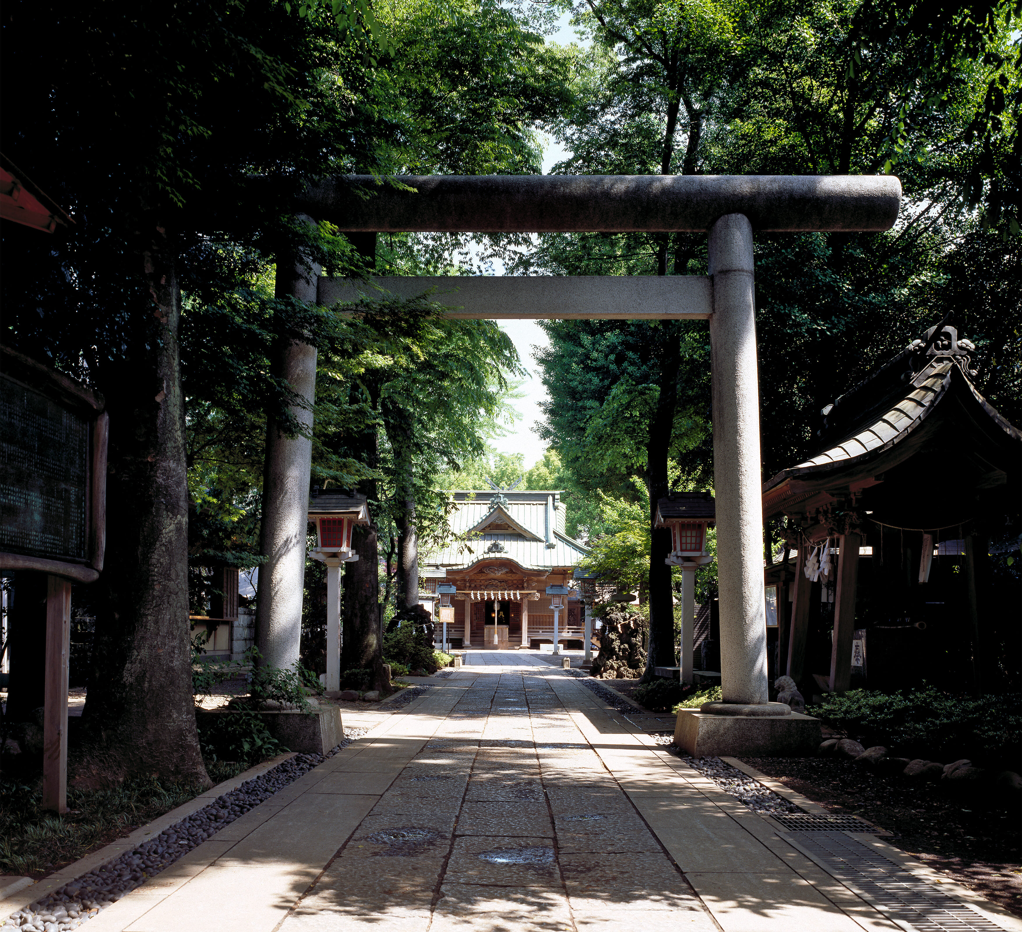 tama-jinja-10.jpg