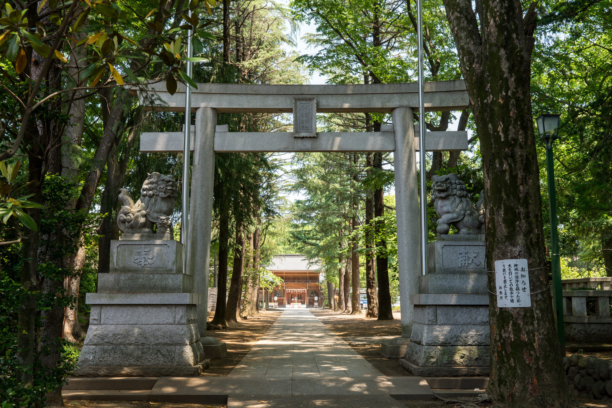 tama-jinja-19.jpg