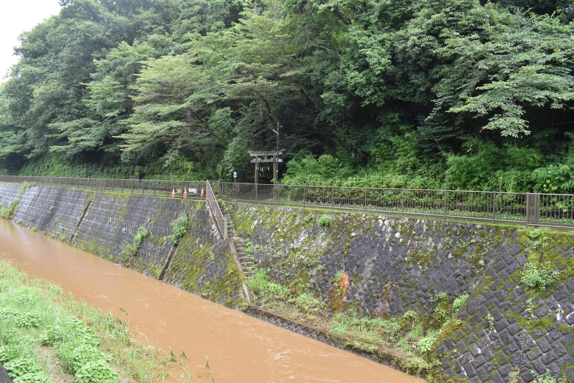 tama-jinja-7.jpg