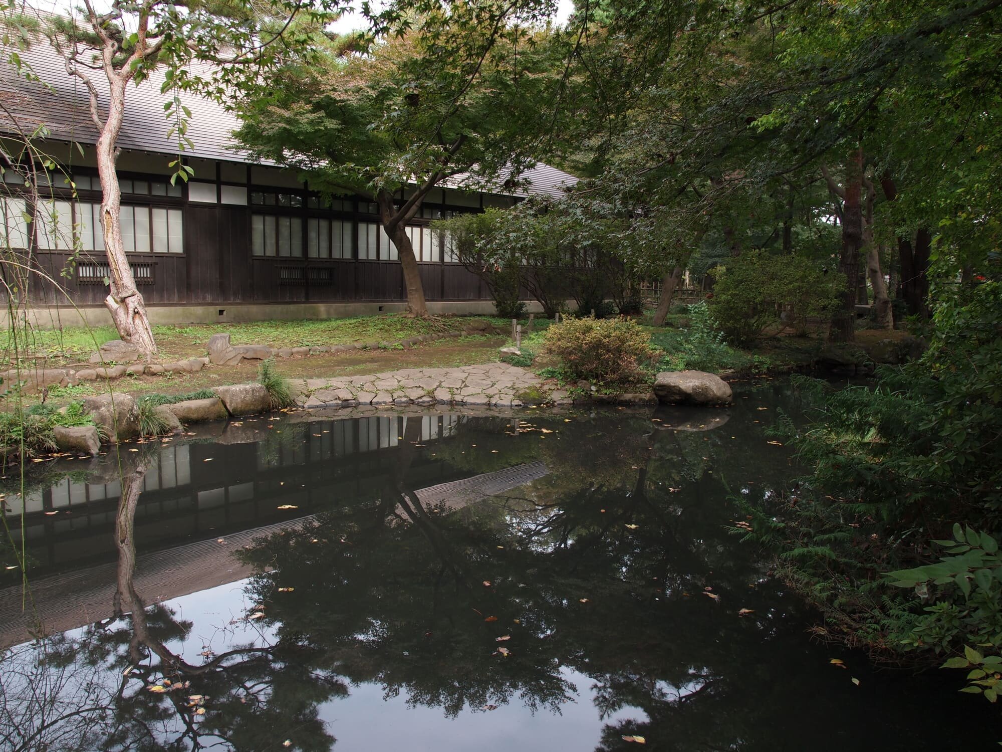 tama-nushisagashi-9.jpg