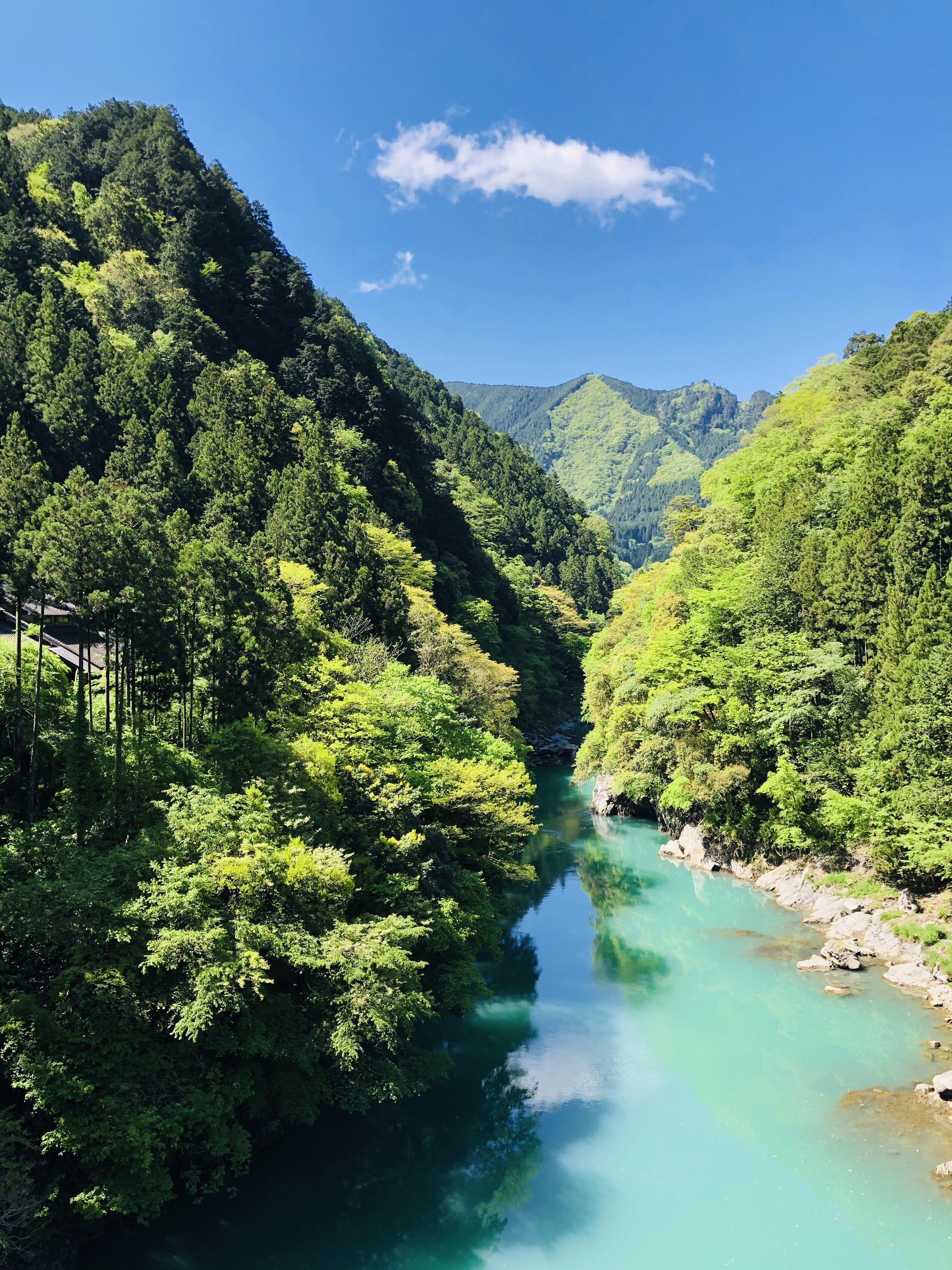tama-outdoor-19.jpeg