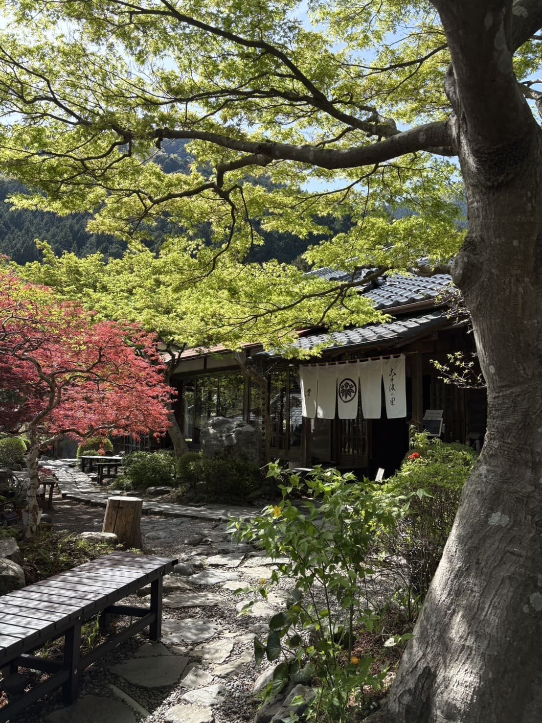 tama-outdoor-7.jpg