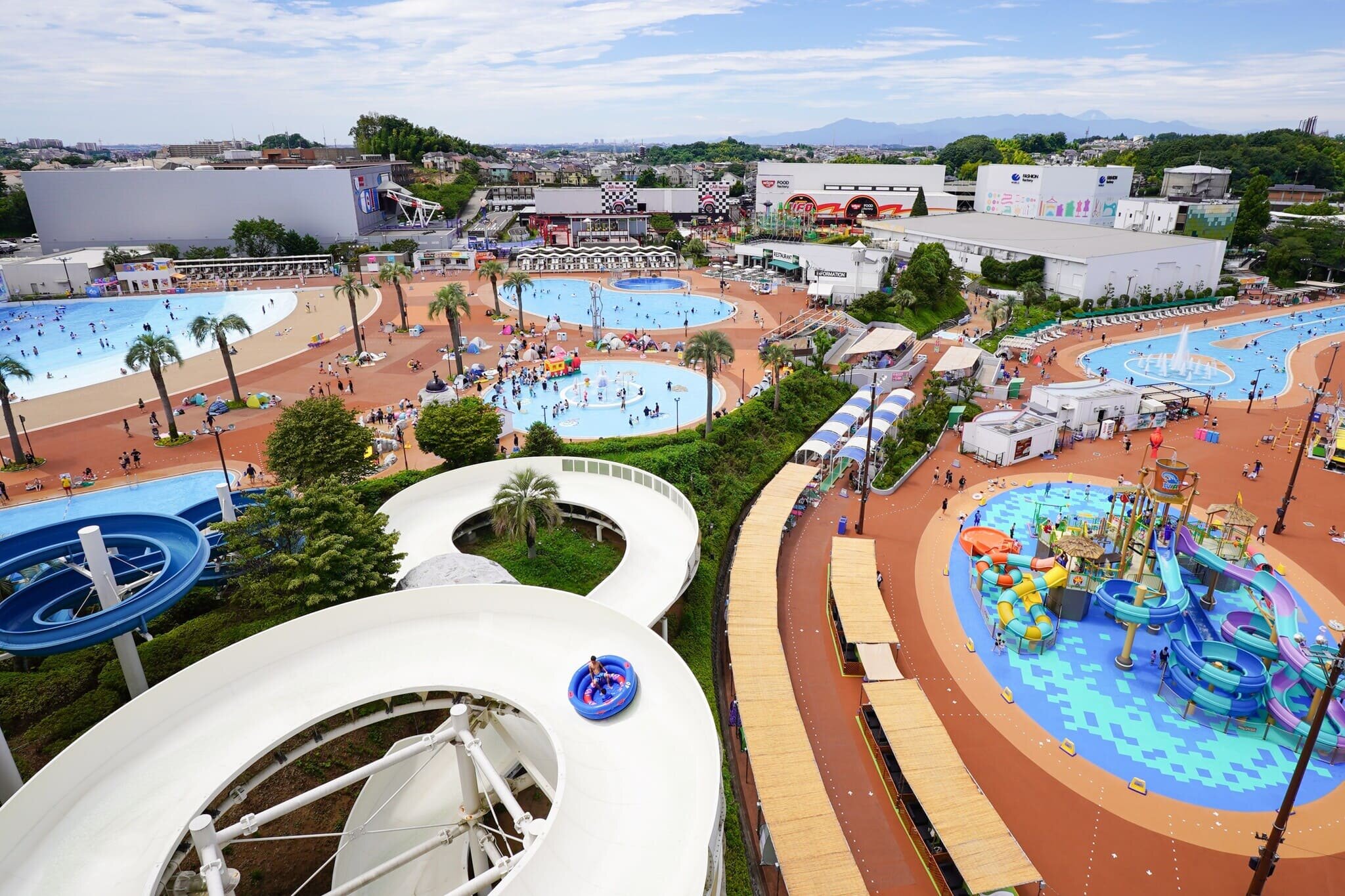 tama-pool-1.jpg