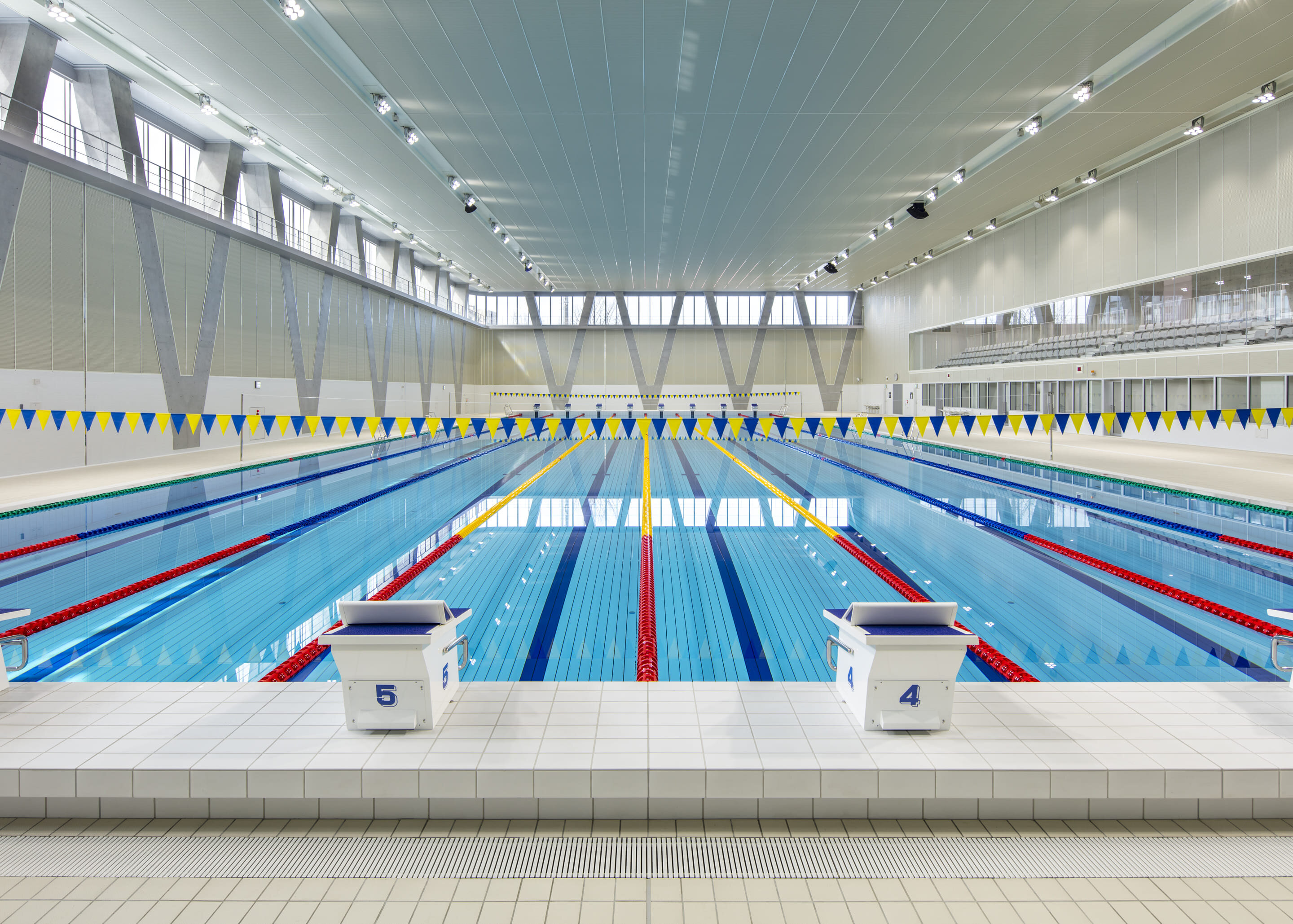 tama-pool-5.jpg