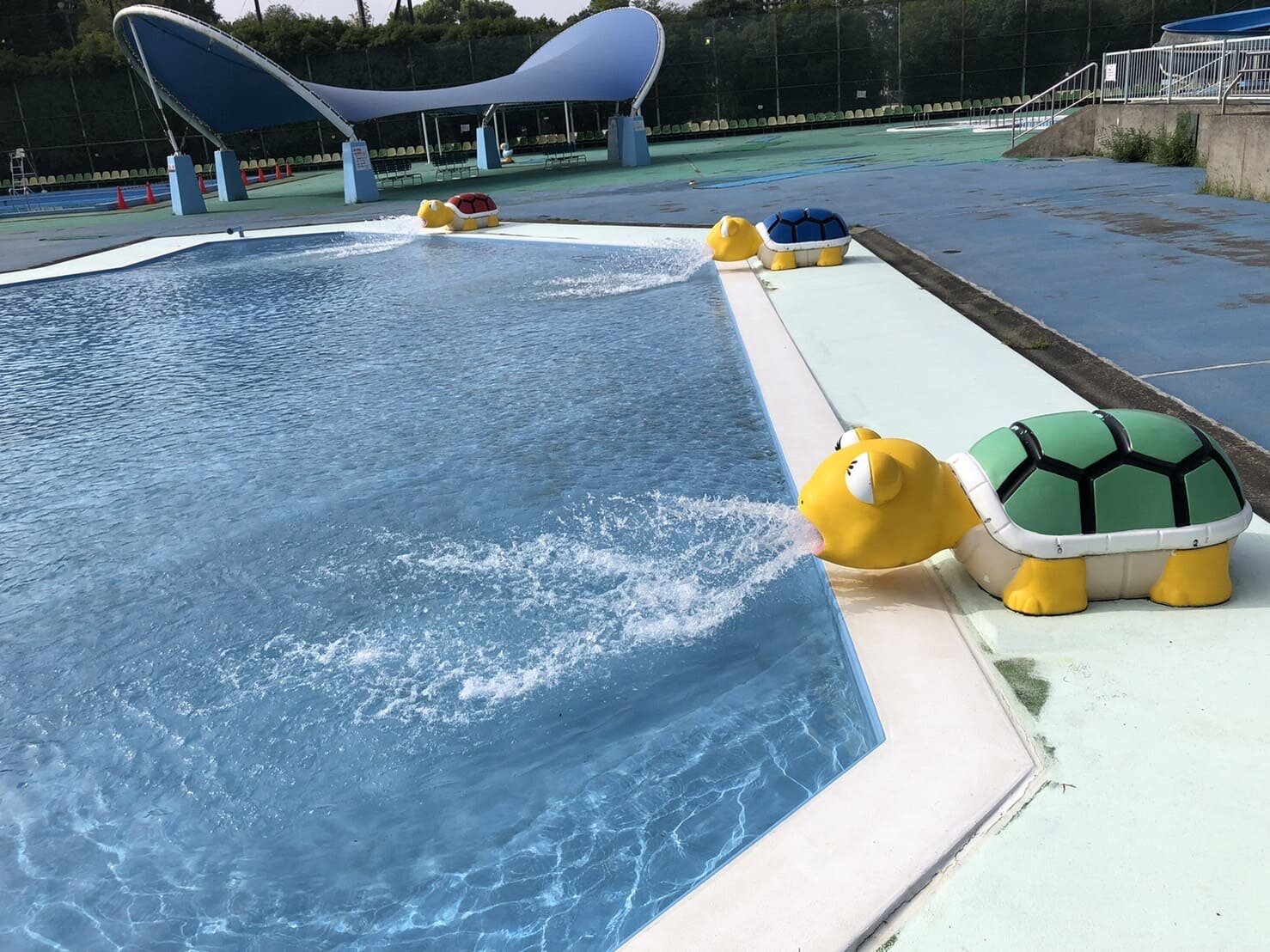 tama-pool-8.jpg