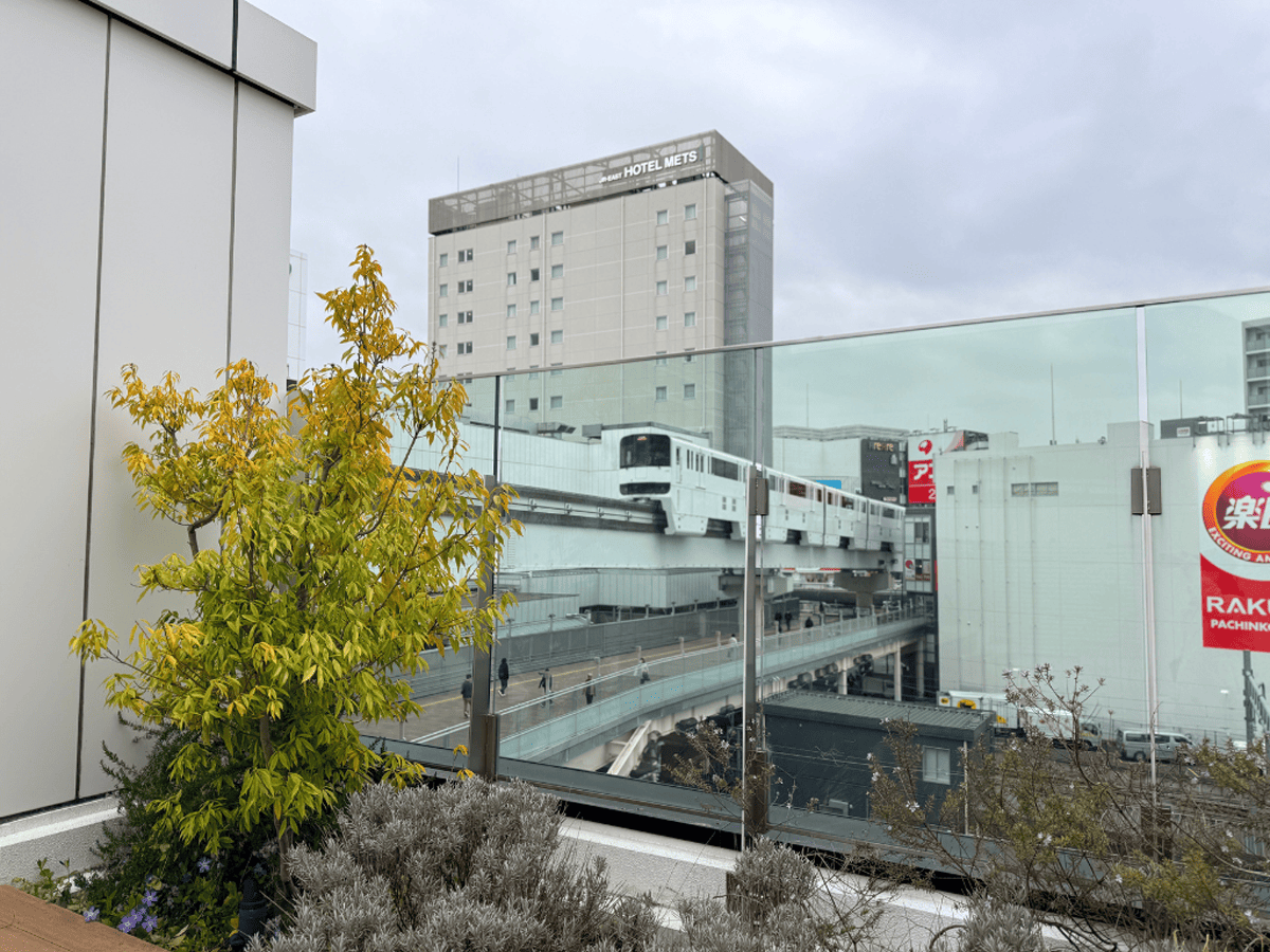 tama-rooftop-12.png
