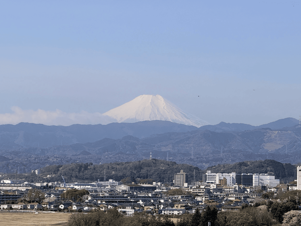 tama-rooftop-20.png