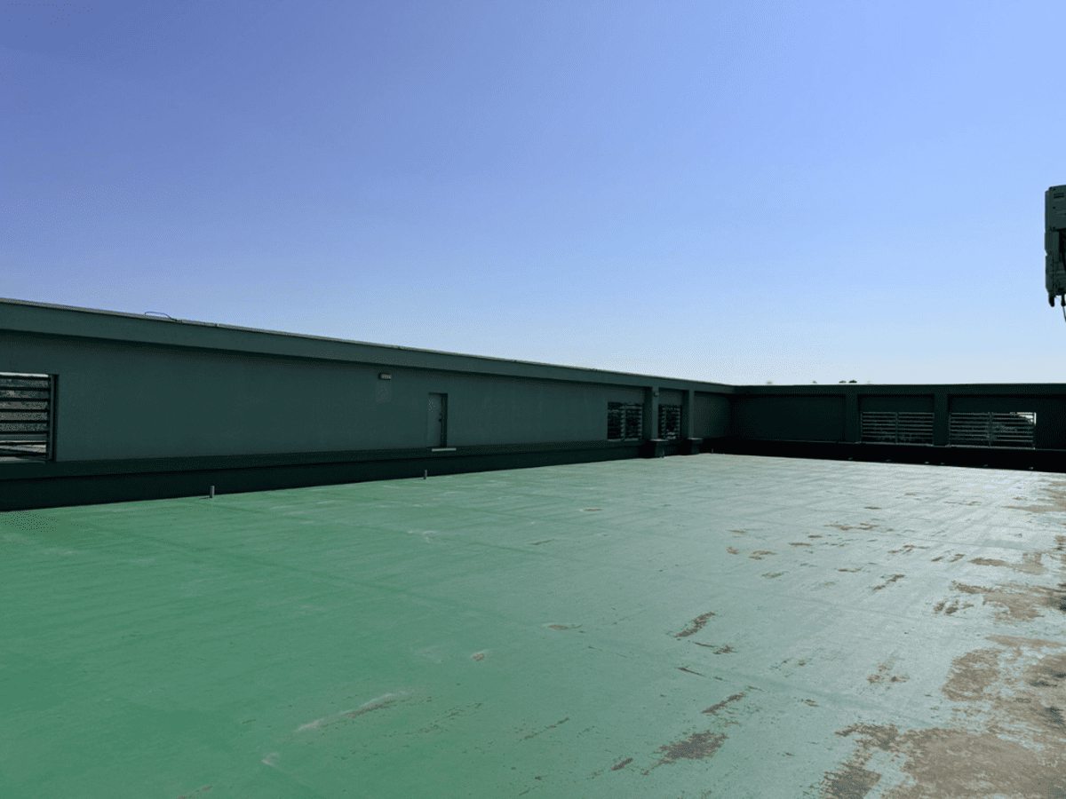 tama-rooftop-23.png
