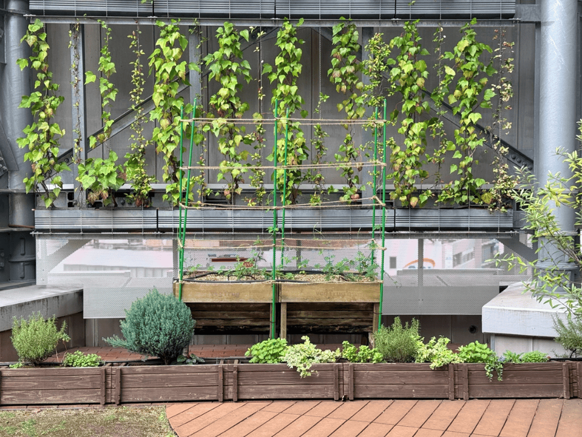 tama-rooftop-58.png