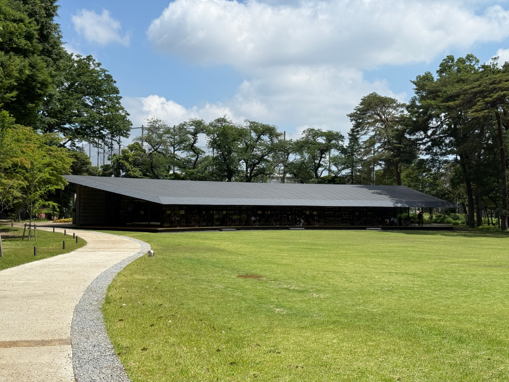 tama-summer-library-54.png